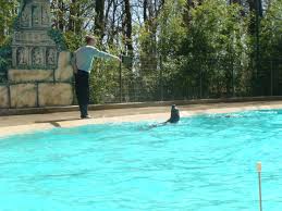 Airlines road trips help centre. Visite Parc Zoologique De Plaisance Du Touch Blog Mfr Naucelle