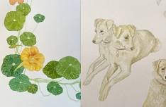 Flora & Fauna – Watercolor Course with Hannah Day