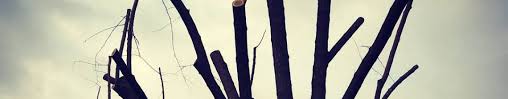 Image result for arte commerciale