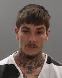 Shooter 'narrowly misses' hitting 2 1-year-old kids after firing at car,  Knoxville police say