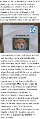 The Amazing Tip To Find A Lost Dog Parti