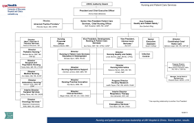 nursing home organizational chart bedowntowndaytona com