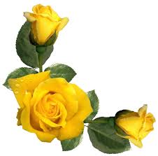 Beautiful Yellow Roses Decor Png Image Yellow Roses Yellow Aesthetic Png