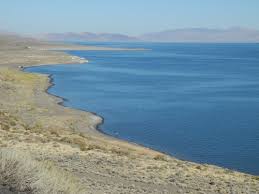 A refrigerator and coffee maker are provided in all rooms. Pyramid Lake Nevada Fishing Boating Camping Recreation