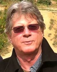 Herbert Schiller (Critical Media Studies: Institutions, Politics, and  Culture): Maxwell, Richard: 9780742518476: Amazon.com: Books