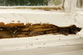 You may not be able to get all of it; Repairing Damaged Wood On Your Home S Exterior