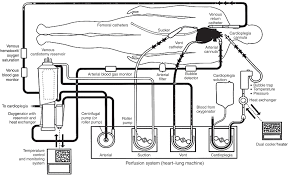 Cheap heat detector, buy quality security & protection directly from china suppliers:2 wired addressable heat detector tc5162 with lpcb temperature sensor fire alarm works with tc addressable panel enjoy free shipping worldwide! Principles Of Cardiopulmonary Bypass Chapter 5 Core Topics In Cardiac Anaesthesia