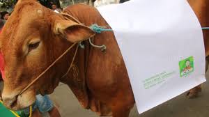 We did not find results for: Soal Essay Tentang Qurban Dan Aqiqah