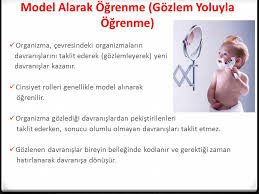 Nasil Ogreniyorum Yard Doc Dr Samiye Kuzudisli Nasil Calismaliyim Ppt Indir