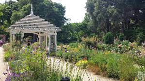 Maybe you would like to learn more about one of these? Japanese Garden Los Gatos