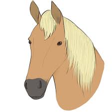Yeah i know i don't draw cars like they do in the books, i don't follow guidelines.you loose the cartoony look to it. How To Draw A Horse Head Easy Drawing Art