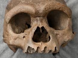 At this moment in time it would be nearly impossible to draw any legitimate conclusions that could be used to help prove anything. Giant 146 000 Year Old Human Skull Found In China Raises Questions On Evolution