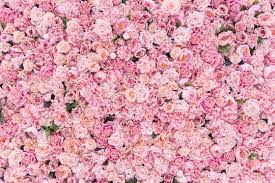 Choose from 11000+ pink flower graphic resources and download in the form of png, eps, ai or psd. Beautiful Pink Flowers Background Stock Foto Adobe Stock