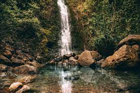And it's one of the most popular oahu waterfalls. Lulumahu Falls A Fun Waterfall Hike Through Oahu S Jungle