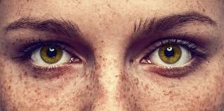 On peut la trouver à des dosages de 0,025, 0,05 et 0,10 %, en crème en lotion ou en gel. Que Faire En Cas De Mouches Devant Les Yeux
