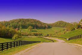 If I Get The Chance Live In Franklin Tn American Road Trip Trip Franklin Tennessee
