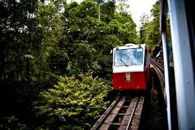 We did not find results for: Perasmian Keretapi Bukit Bendera Pekhabar
