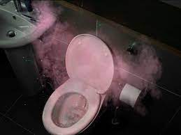 Dirt, grime and bacteria can cause odors, corrode the gaskets, and even plug up the toilet, so it is important to keep the inside of your toilet and the water in it clean. Flushed Away Images Show Bacteria Propelled From Toilets When Flushing With Lid Open The Independent