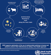 current accounts of antimicrobial resistance stabilisation