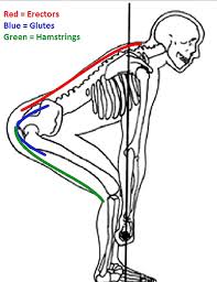 Rather than skip leg day this week, coach adrian prepared a series of demonstrations and movements that target the glutes and hamstrings with posterior chain development in mind. Get It Right The Deadlift T Nation