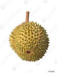 Durian musang king sekarang ini memang sedang jadi yang terdepan. Durian Foto Vorratig Crushpixel