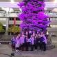 Tree Lighting – Woman Abuse Prevention Month event image