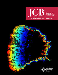 Scope and criteria for publication. Editorial Policies Journal Of Cell Biology Rockefeller University Press