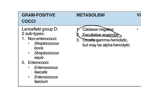 Image result for Group D Streptococcus