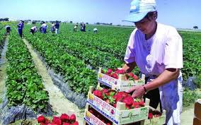 Check spelling or type a new query. Promiteau Locuri De MuncÄ In StrÄinÄtate Peste 4 000 De Persoane InÈelate IncasÄri De Peste 2 000 000 De Lei Ziarul Romanesc Austria