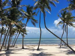 With turquoise waters, scenic views, world class diving and fishing, the keys are a water lover's dream! Green Turtle Beach Estate Islamorada Florida Keys Island Villa Rental Properti Florida Keys Vacation Rentals Florida Keys Resorts Florida Keys Islands