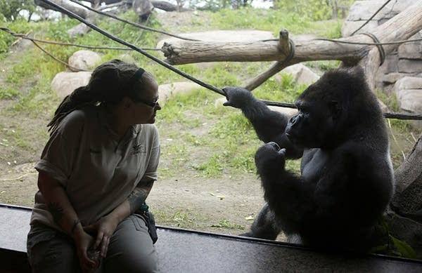 How do you feel about the role zoos play in protecting threatened species?  | MPR News