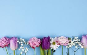 Maybe you would like to learn more about one of these? Wallpaper Flowers Roses Purple Tulips Pink Pink Flowers Beautiful Blue Background Tulips Spring Purple Roses Images For Desktop Section Cvety Download
