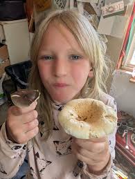 Got a bunch of these today, no idea what it is but I was curious. This app  I got suggests what they could be. Any ideas anyone please? 🍄 😇