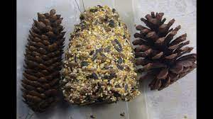 Making a pine cone bird feeder is simple! A Peanut Butter Pinecone Bird Feeder Diy Easy Kid S Craft Youtube