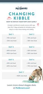 Are You Transitioning Your Puppy From One Food To Another
