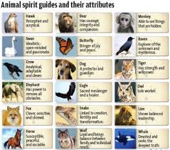 But for now, let's focus on the other kinds of creatures roaming the earth. Witches Hotline On Twitter Quiz What Your Animal Spirit Guide Might Be Http T Co Owm9rq8uqn Wolf Swan Here Same Score D Go Figure Sigh Http T Co 37zx7xl3l3