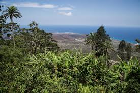 Not only was the island. Terraformed Ascension Island Offers Clues To Wildlife Conservation And Evolution
