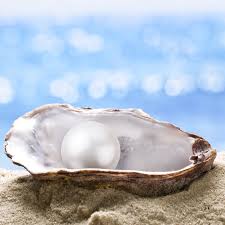 Complete guide to pearls – Hamra Jewelers