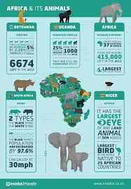 Animals by continent , american animals. Why You Should Add An African Safari To Your Bucket List