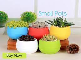 Pots And Planters Online In India Plant Pots For Sale Trustbasket Planter Pots Flower Pots House Plants Decor