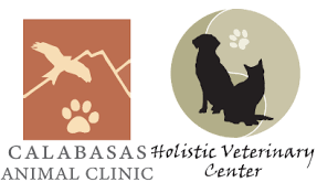 Your pets are in good hands at animal health hospital. Homepage Calabasas Animal Clinic