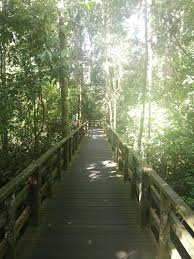 As an independent resource, we list each center that matches our luxury criteria, ensuring that those looking for malaysia drug and alcohol rehabilitation centers as well as. Travellers Of Malaysia
