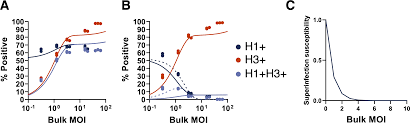 Amazon más de sin embargo Cellular Co Infection Can Modulate The Efficiency Of Influenza A Virus Production And Shape The Interferon Response