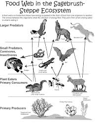 Food Web In The Desert Biome Food Web Biomes Grassland Biome