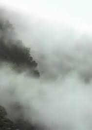 Max Becoming Max Alexander Street A Proquest Company