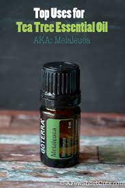 Top Uses For Tea Tree Essential Oil Essential Oils Essential Oils Aromatherapy Tea Tree Essential Oil