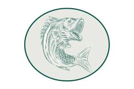 Largemouth Bass Fish Oval Etching Retro Illustration Graphic Illustration Bass Fishing