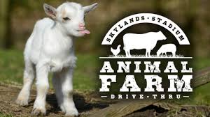 The best part is that you get to pick which animals we bring! Skylands Stadium Drive Thru Animal Farm Jersey Family Fun
