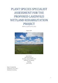 Image result for Lopholaena sp.no.1