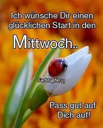 Lustige guten morgen grüße zum mittwoch guten morgen. Pin Von Rolf Bohringer Auf Ich Mittwochsgrusse Guten Morgen Guten Morgen Mittwoch